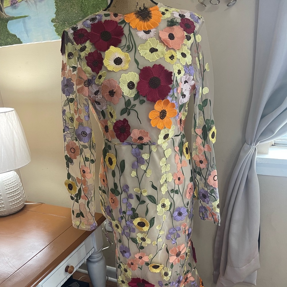 Floral Embroidered Sheer Dress